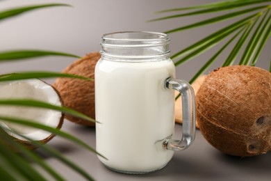 Photo of Mason jar of delicious vegan milk, coconuts and leaves on grey background