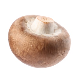 Photo of Fresh champignon mushroom isolated on white. Healthy food