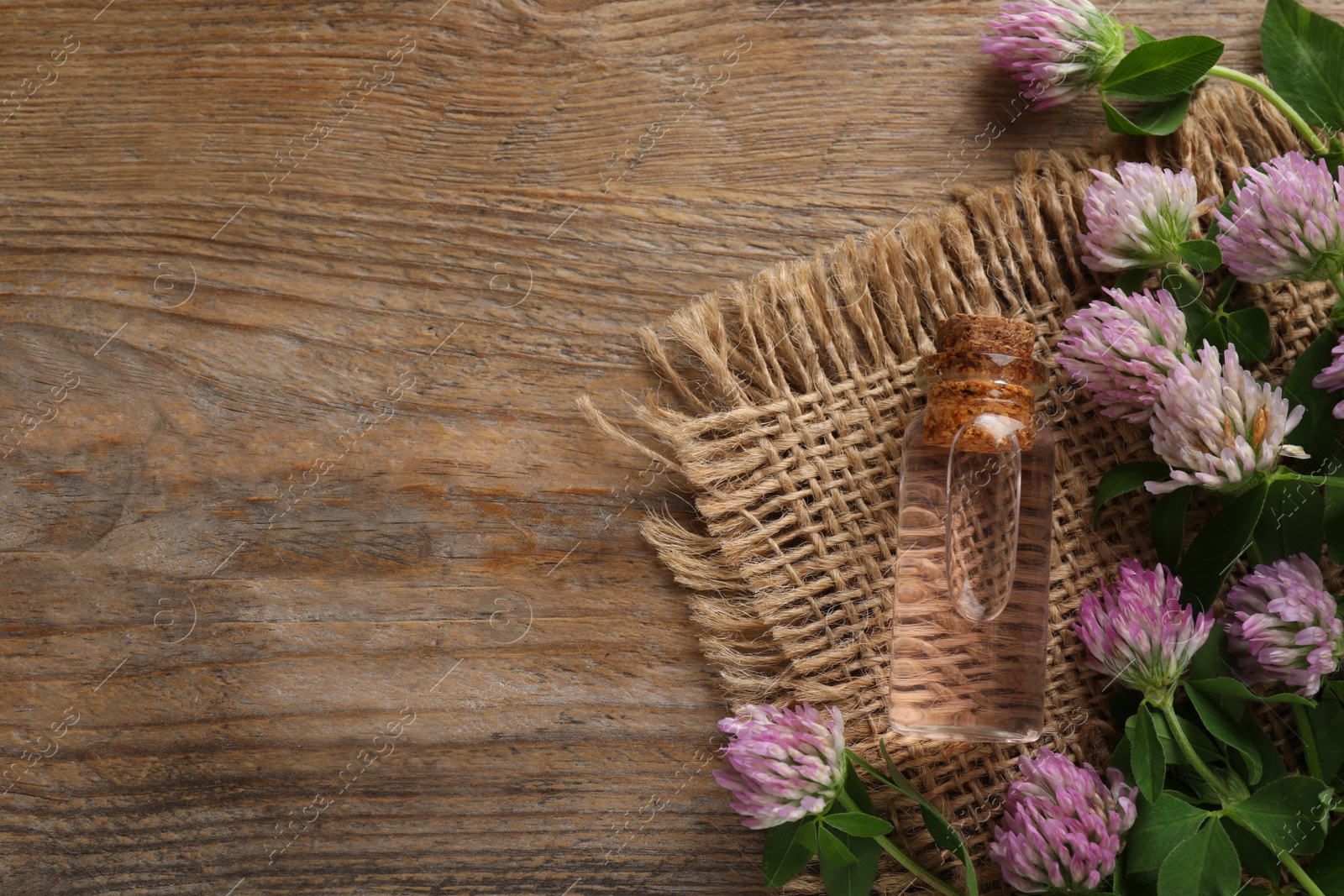 Photo of Beautiful clover flowers and bottle of essential oil on wooden table, flat lay. Space for text