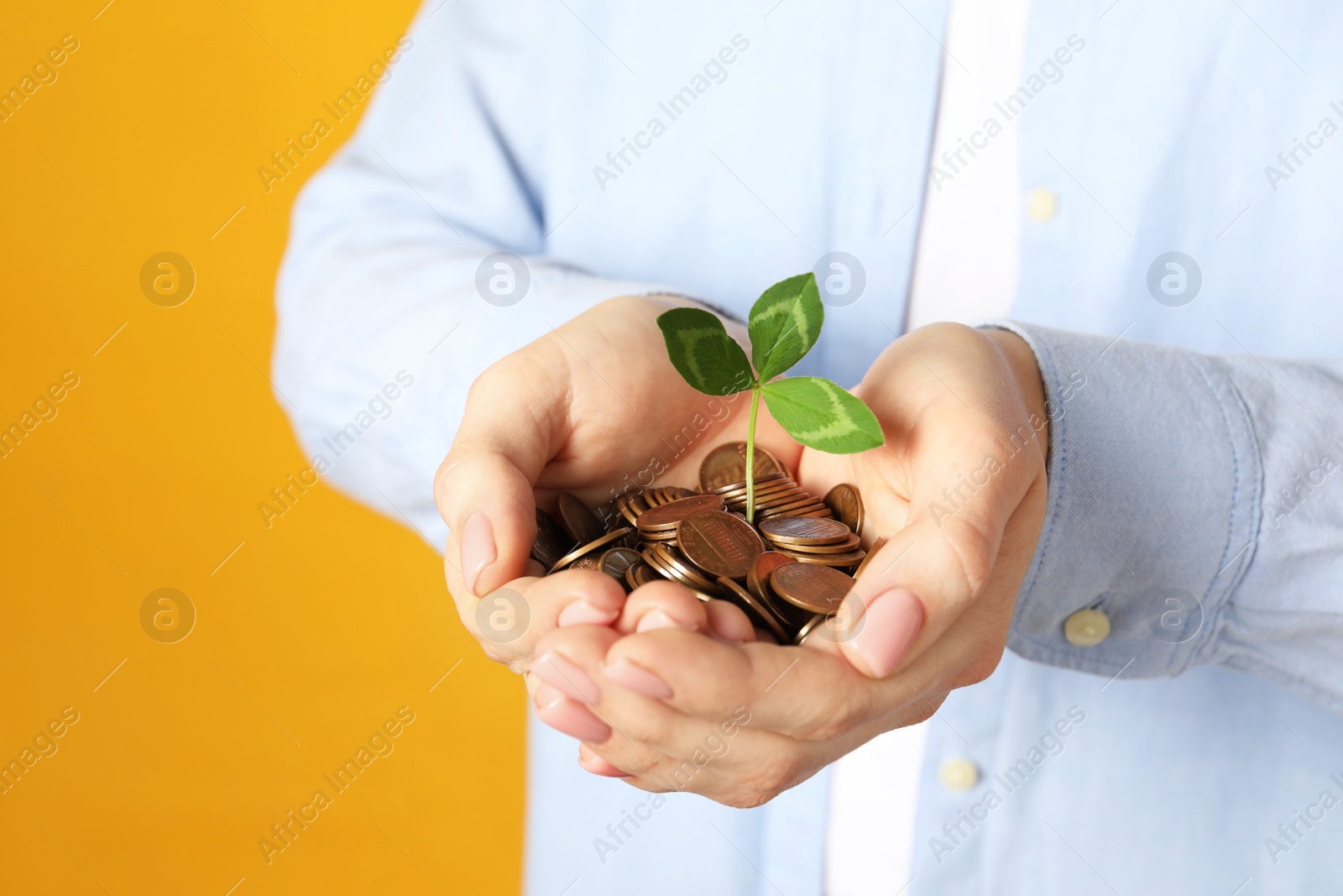 Photo of Woman holding coins with green sprout on yellow background, closeup. Investment concept