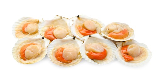 Many fresh raw scallops in shells isolated on white