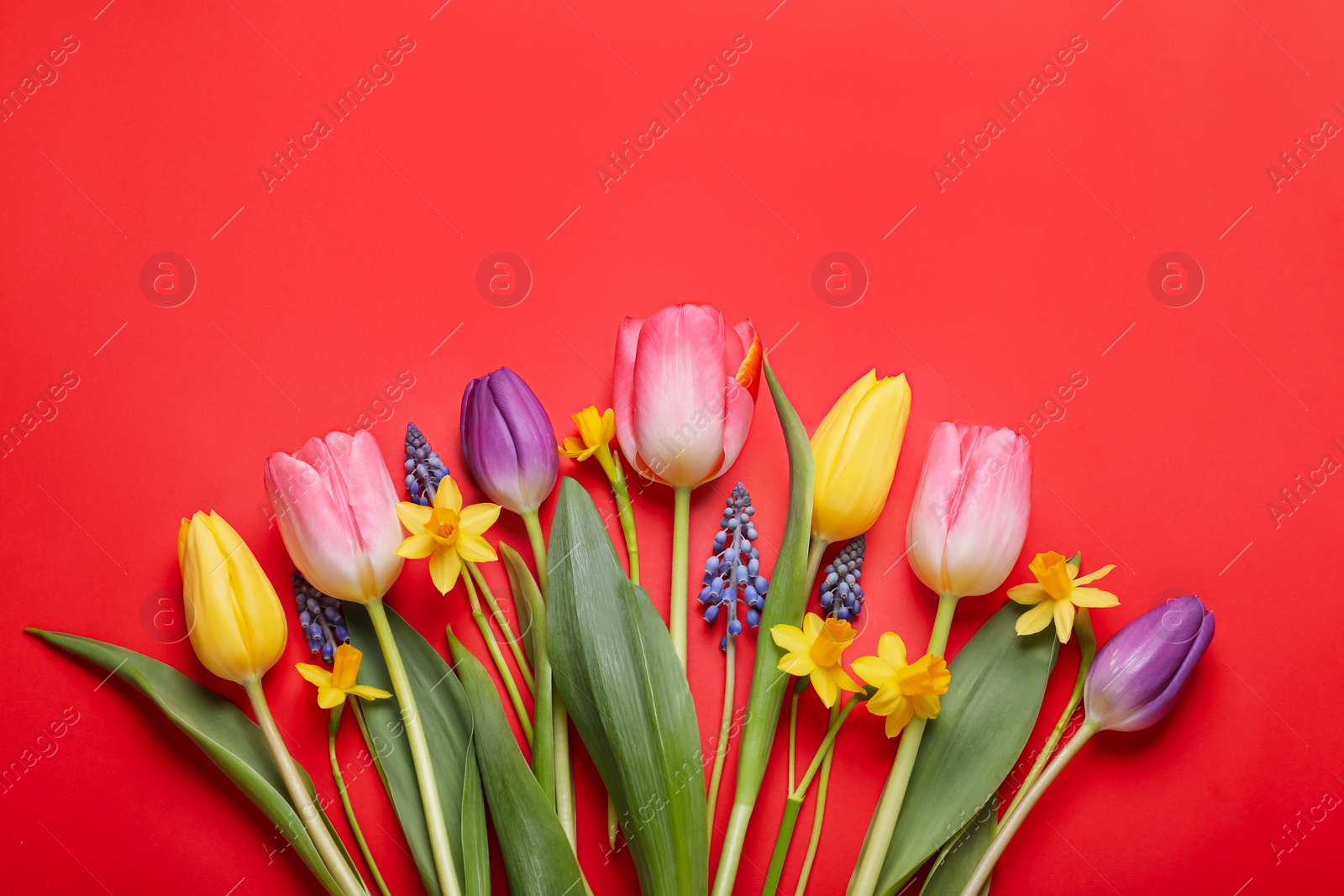 Photo of Beautiful different flowers on red background, flat lay