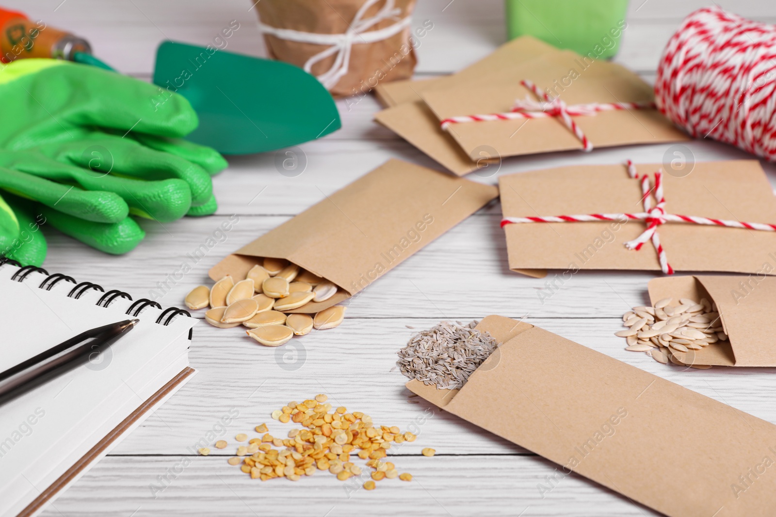 Photo of Many different vegetable seeds and notebook on white wooden table