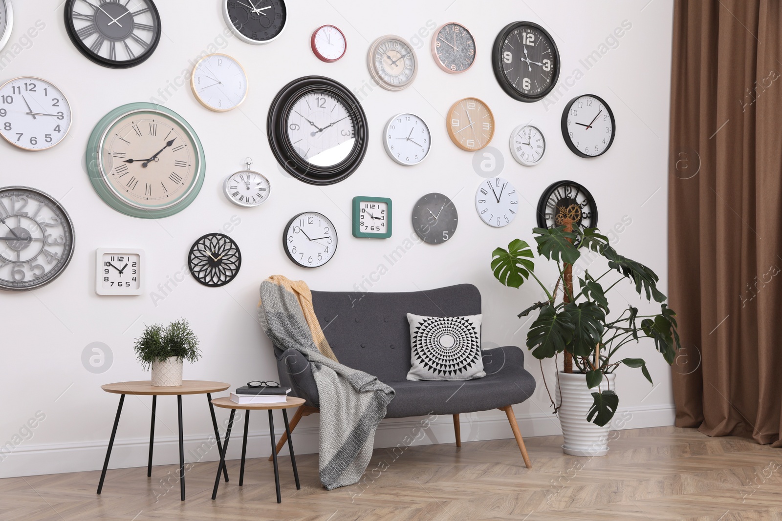 Photo of Stylish room interior with comfortable furniture, beautiful houseplant and collection of different clocks on white wall