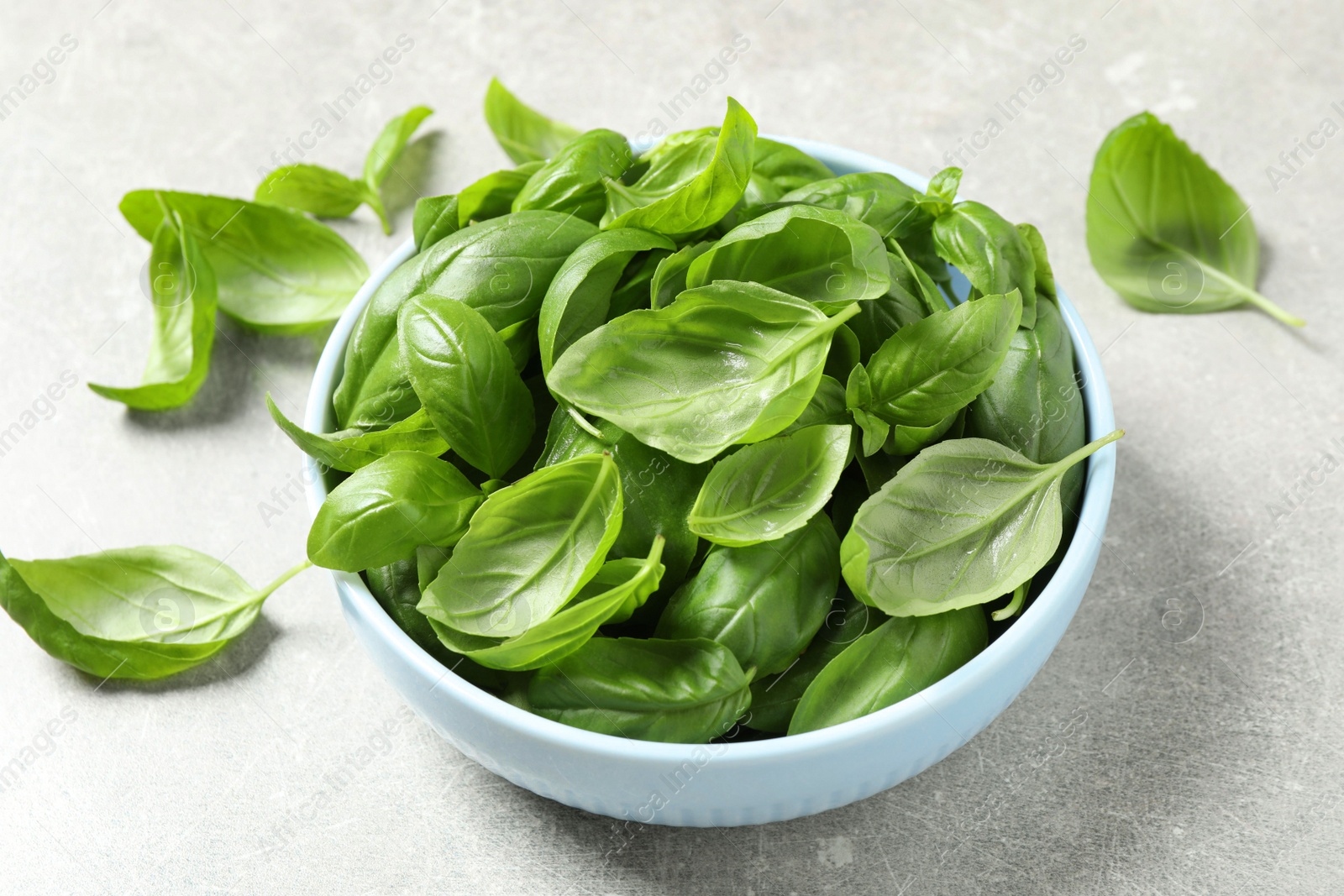 Photo of Fresh green basil on light grey table