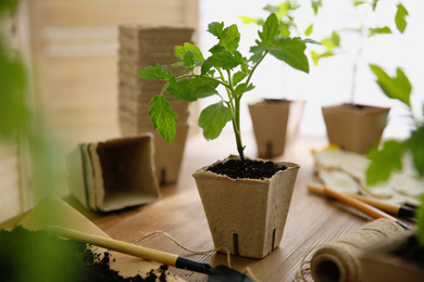 Photo of Soil, gardening trowel, rope and green tomato seedling in peat pot on wooden table