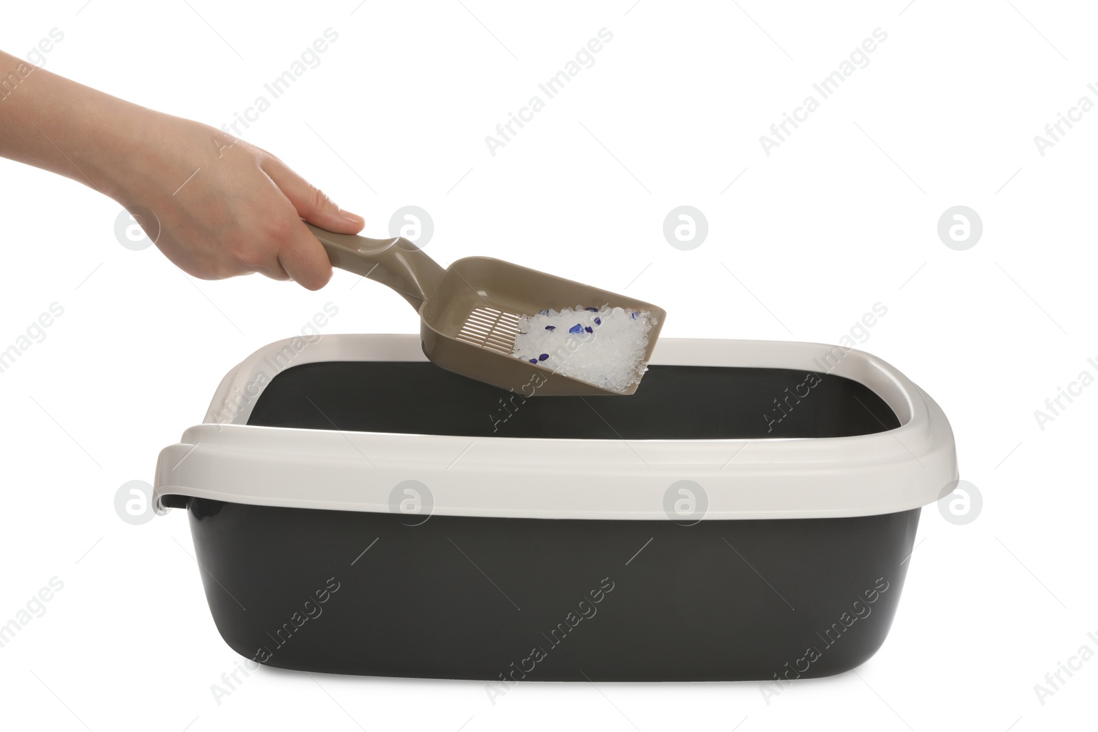 Photo of Woman cleaning cat litter tray on white background, closeup