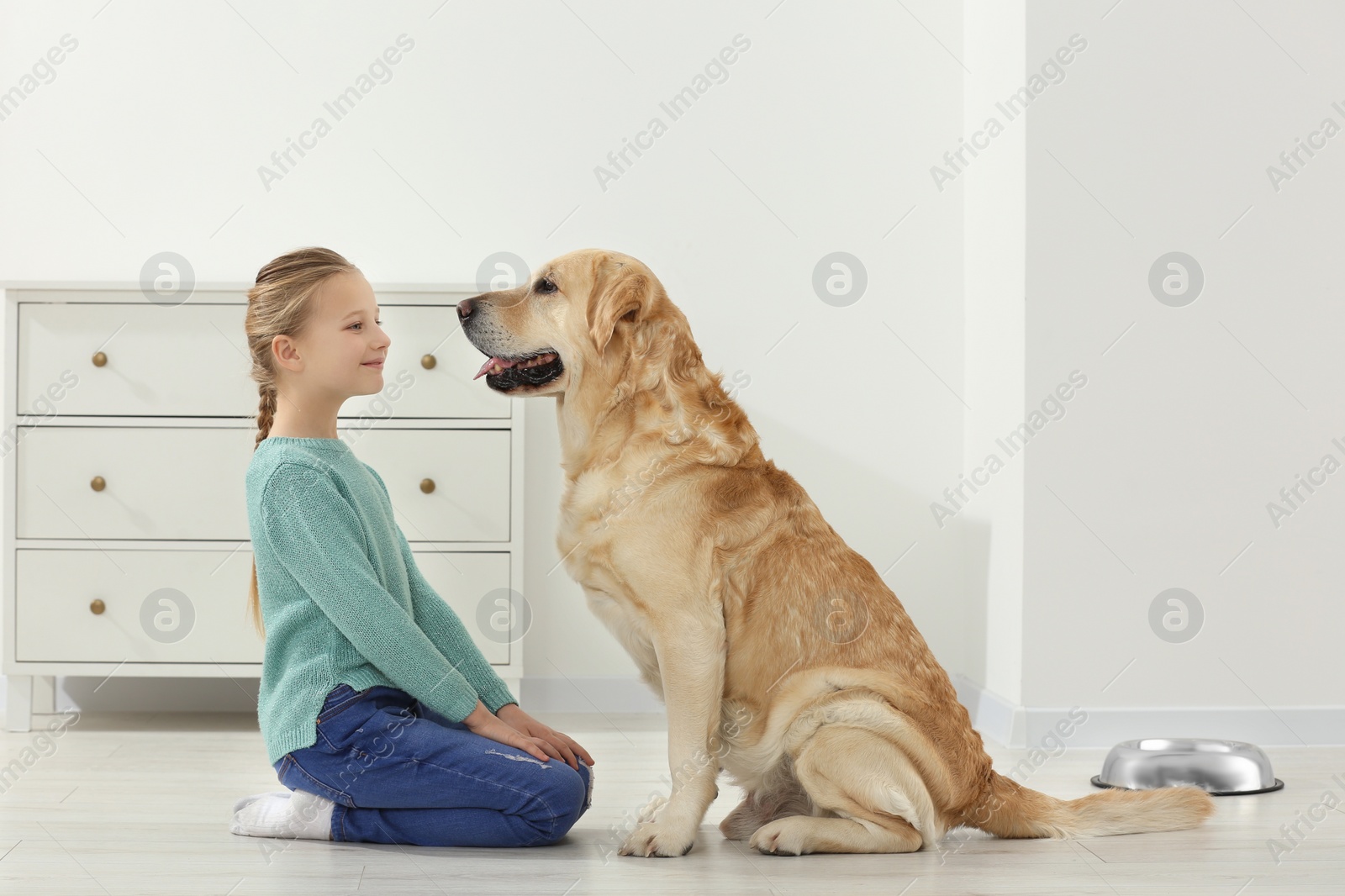 Photo of Cute child with her Labrador Retriever on floor at home. Adorable pet