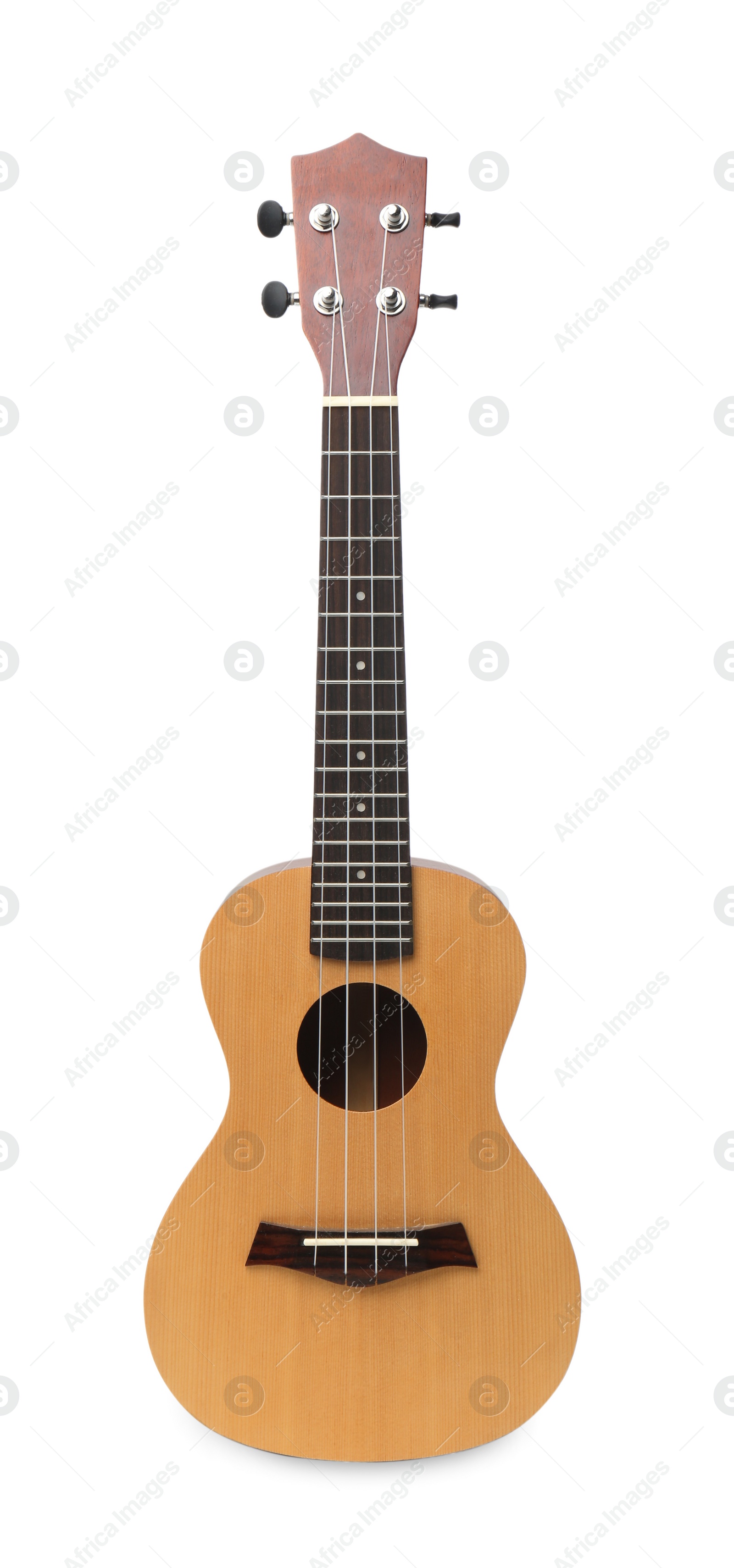 Photo of Ukulele isolated on white. String musical instrument