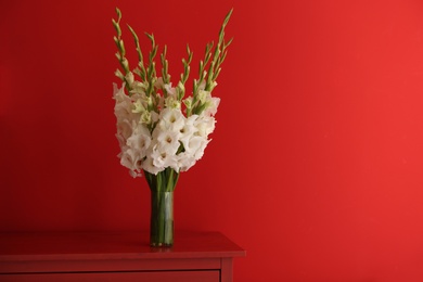 Photo of Vase with beautiful white gladiolus flowers on wooden table against red background, space for text