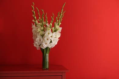 Vase with beautiful white gladiolus flowers on wooden table against red background, space for text