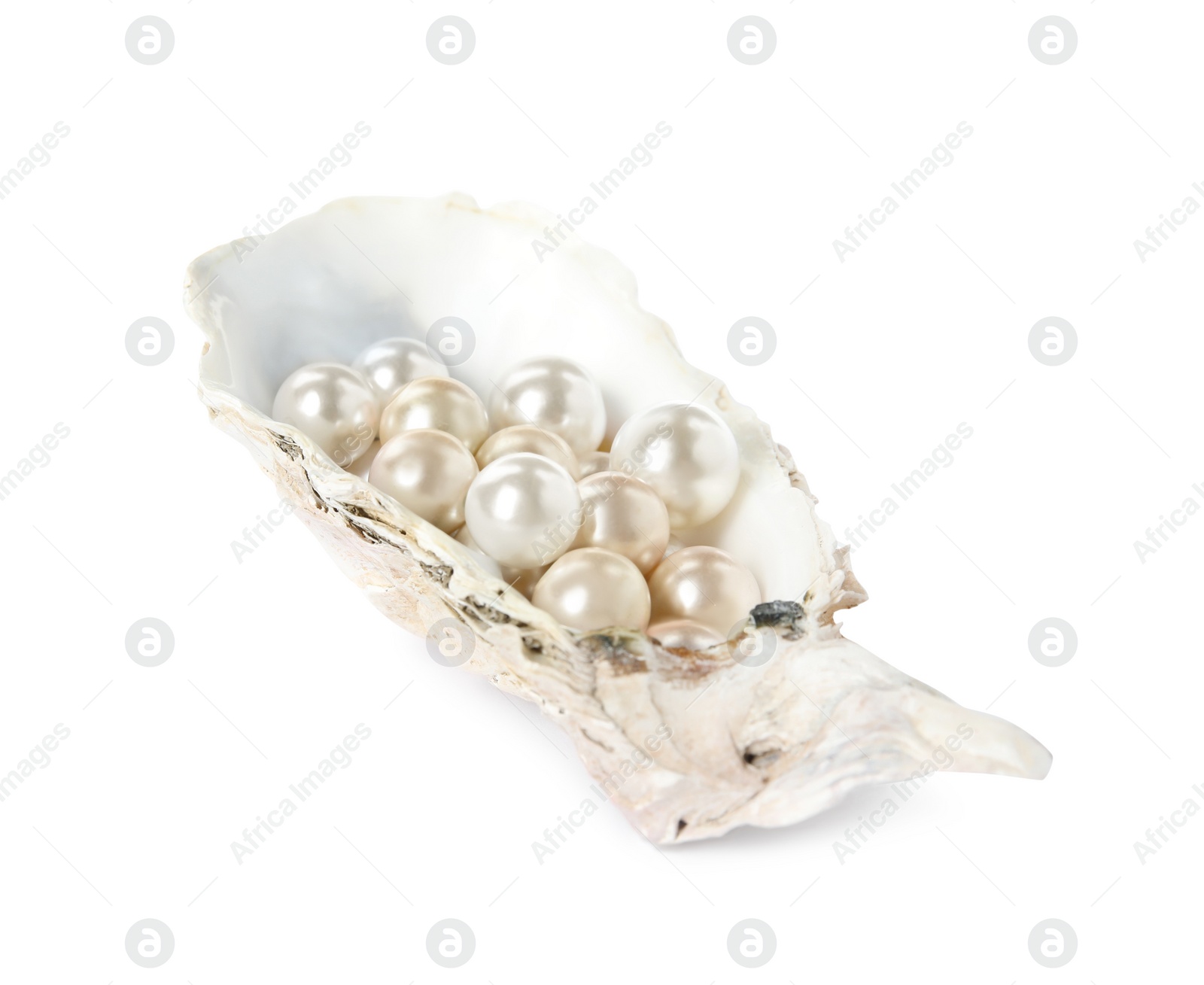 Photo of Oyster shell with different pearls on white background