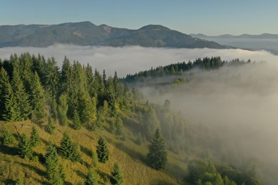 Aerial view of beautiful landscape with misty forest in mountains