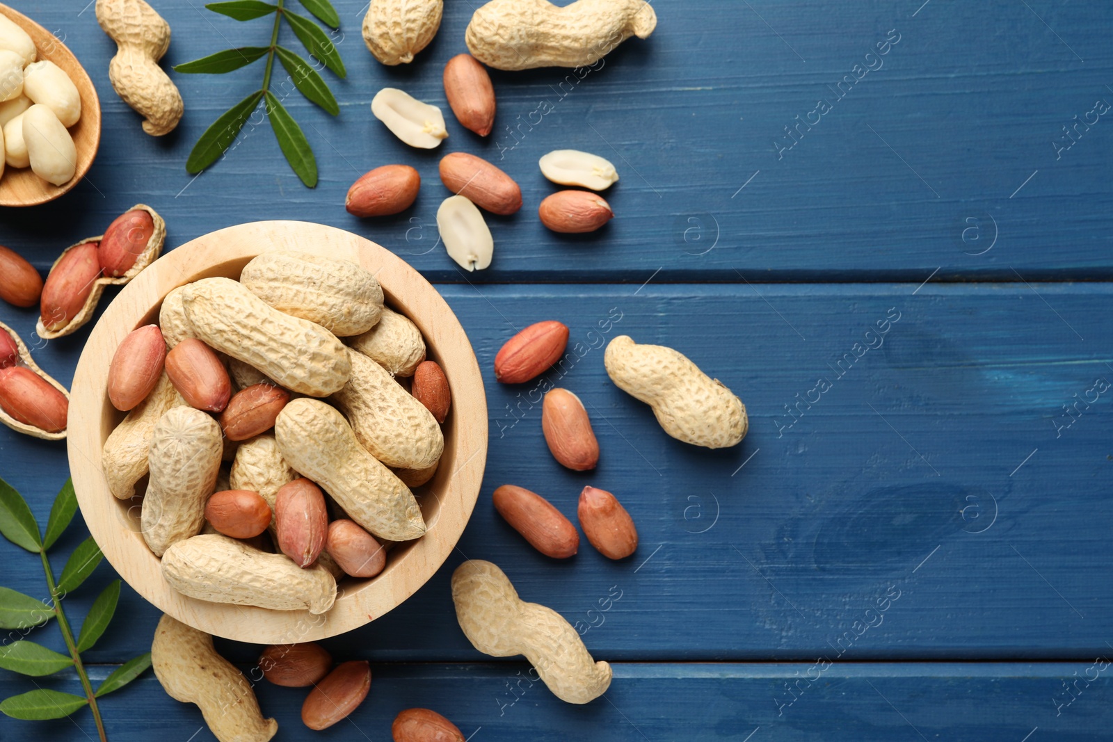 Photo of Fresh peanuts and twigs on blue wooden table, flat lay. Space for text