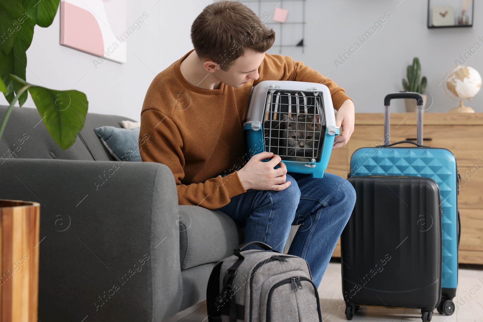 Photo of Travel with pet. Man holding carrier with cute cat on sofa at home