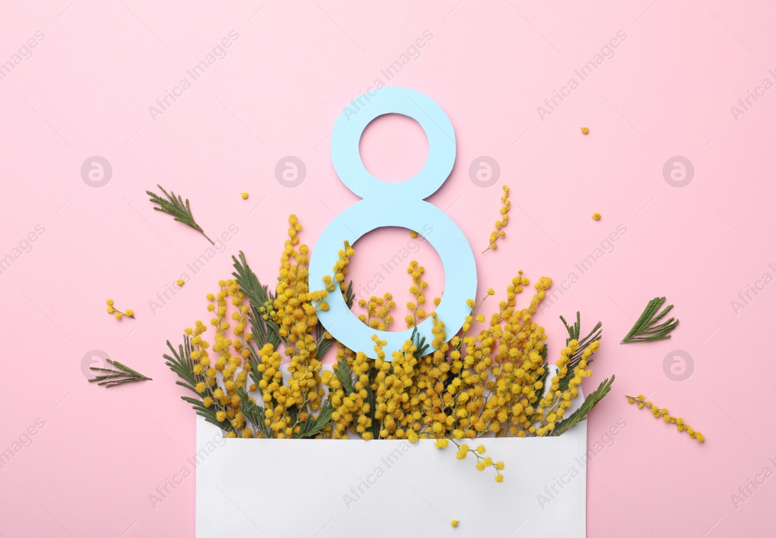 Photo of 8 March greeting card design with beautiful mimosa flowers on pink background, flat lay