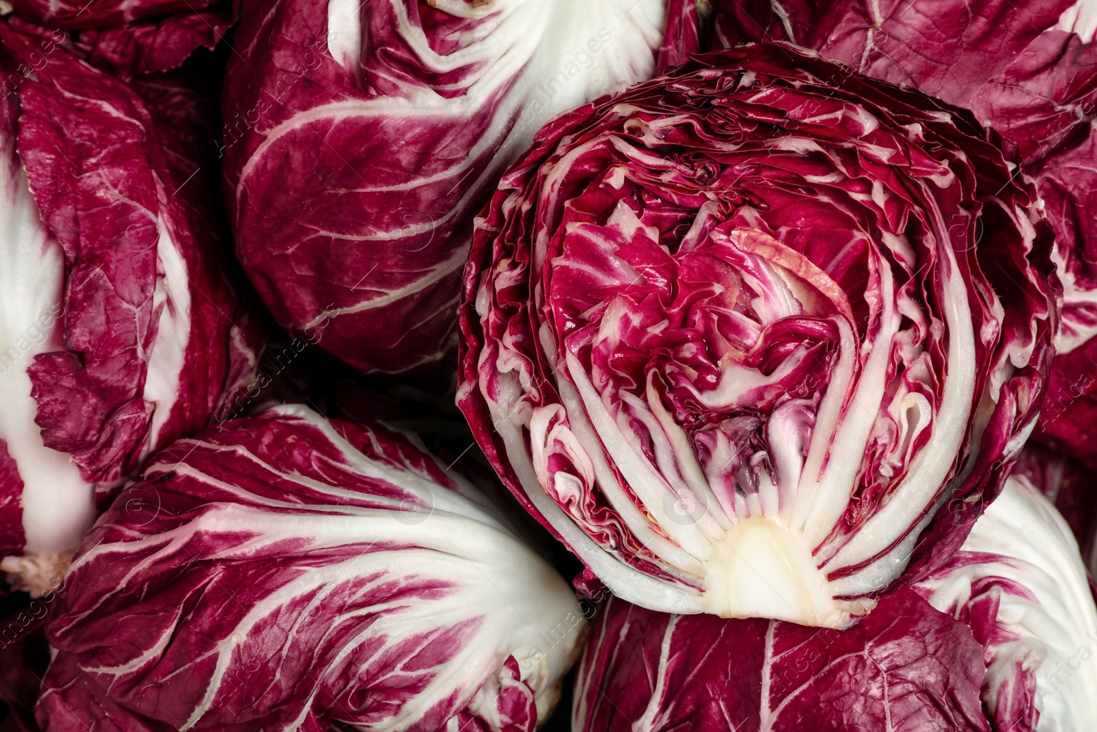 Photo of Whole and cut fresh ripe radicchios as background, top view