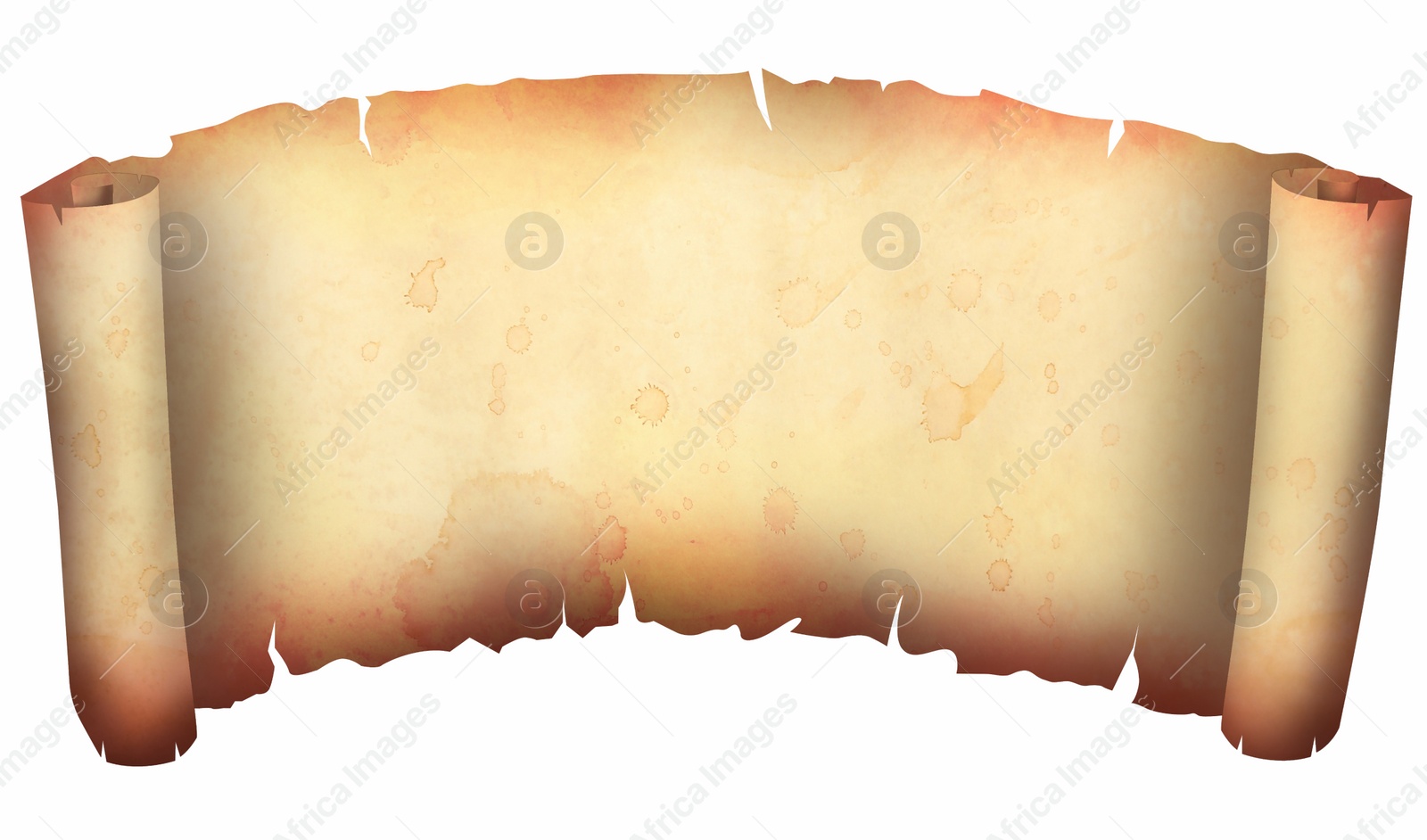 Illustration of Sheet of old parchment scroll on white background, space for design. Illustration
