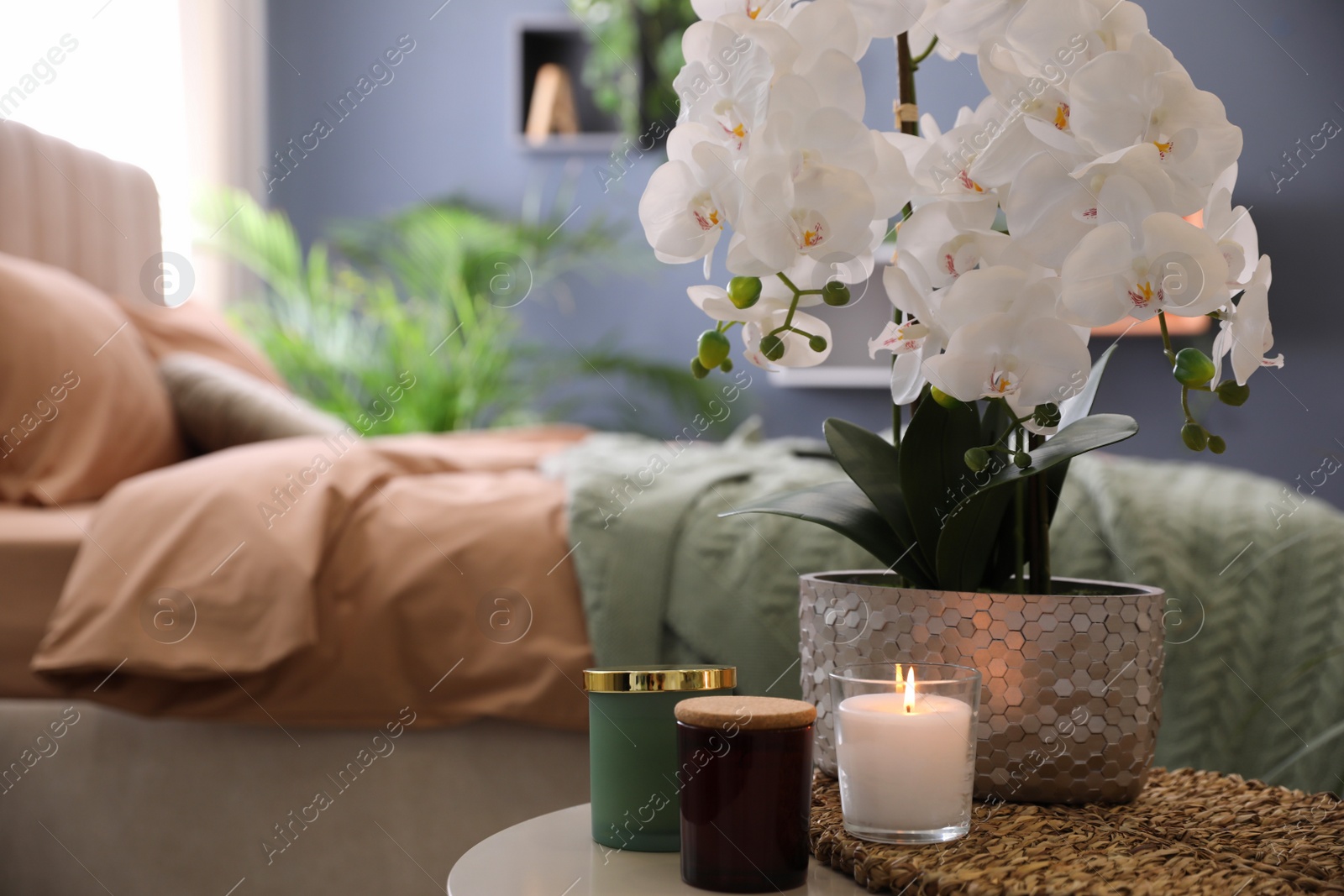 Photo of Beautiful white orchids and candles on table in bedroom, space for text. Interior design