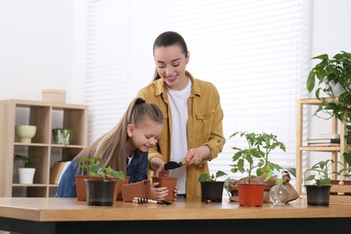 Mother and daughter planting seedlings in pot together at wooden table in room