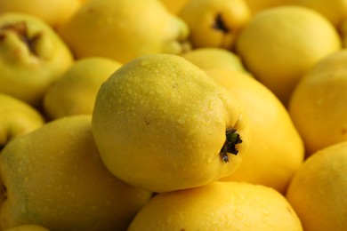 Delicious ripe quinces with water drops as background, closeup