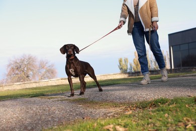 Woman with her German Shorthaired Pointer dog walking outdoors