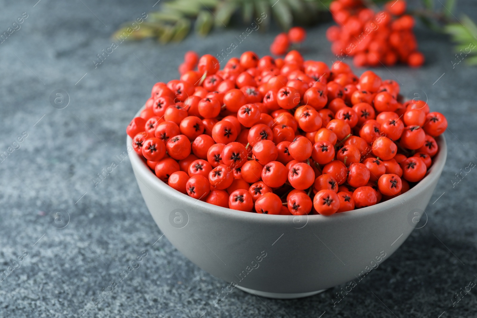 Photo of Fresh ripe rowan berries in bowl on grey table, closeup
