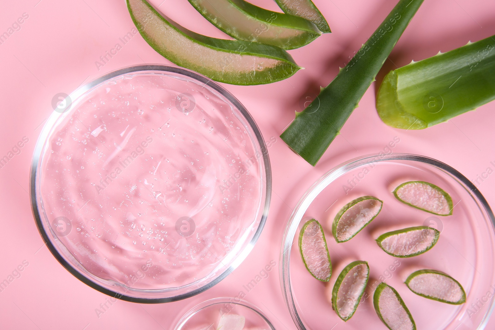 Photo of Flat lay composition with aloe vera leaves and cosmetic gel on pink background