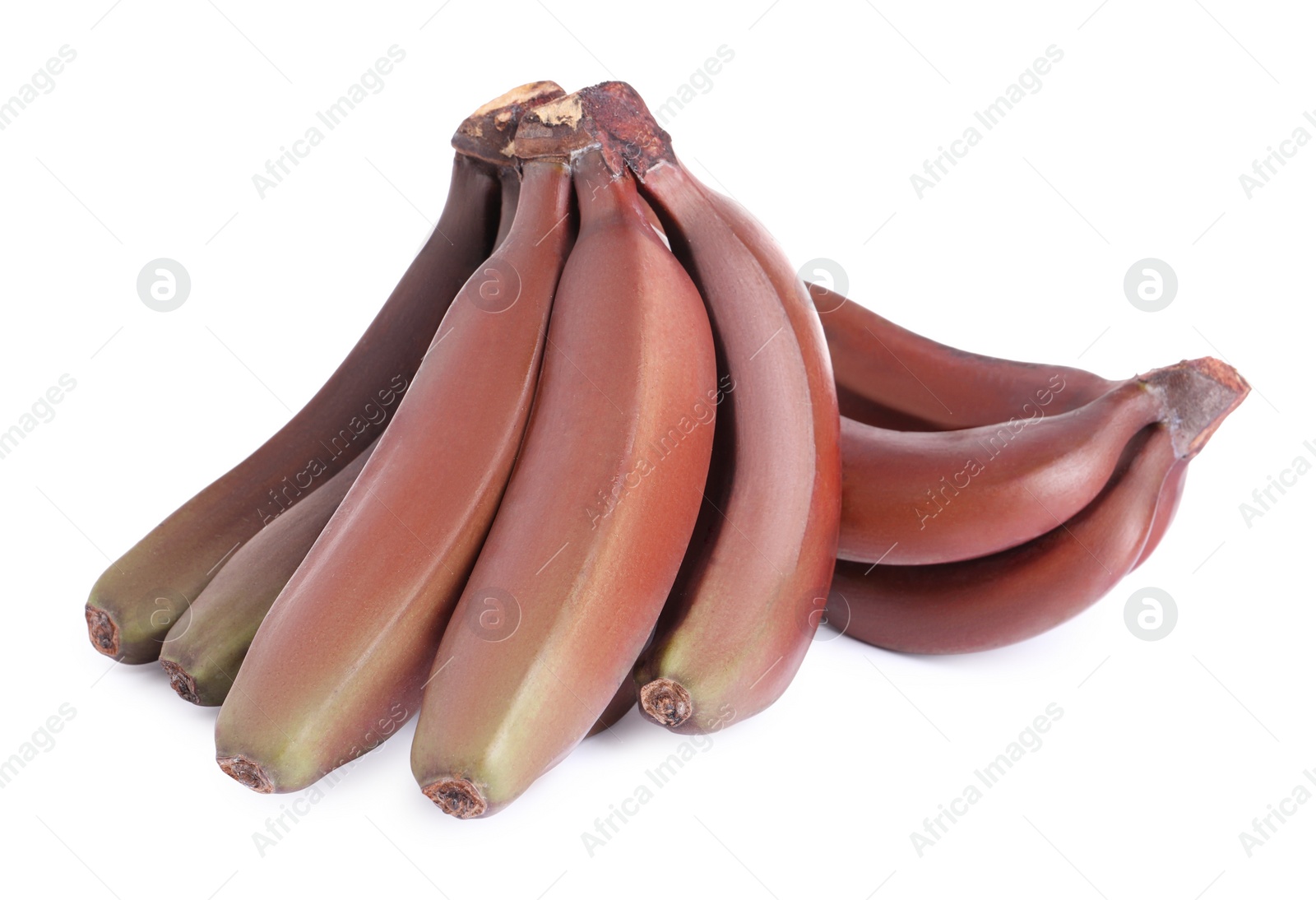 Photo of Delicious red baby bananas on white background