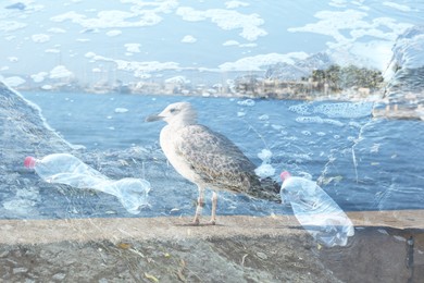 Image of Plastic garbage and seagull, double exposure. Environmental pollution