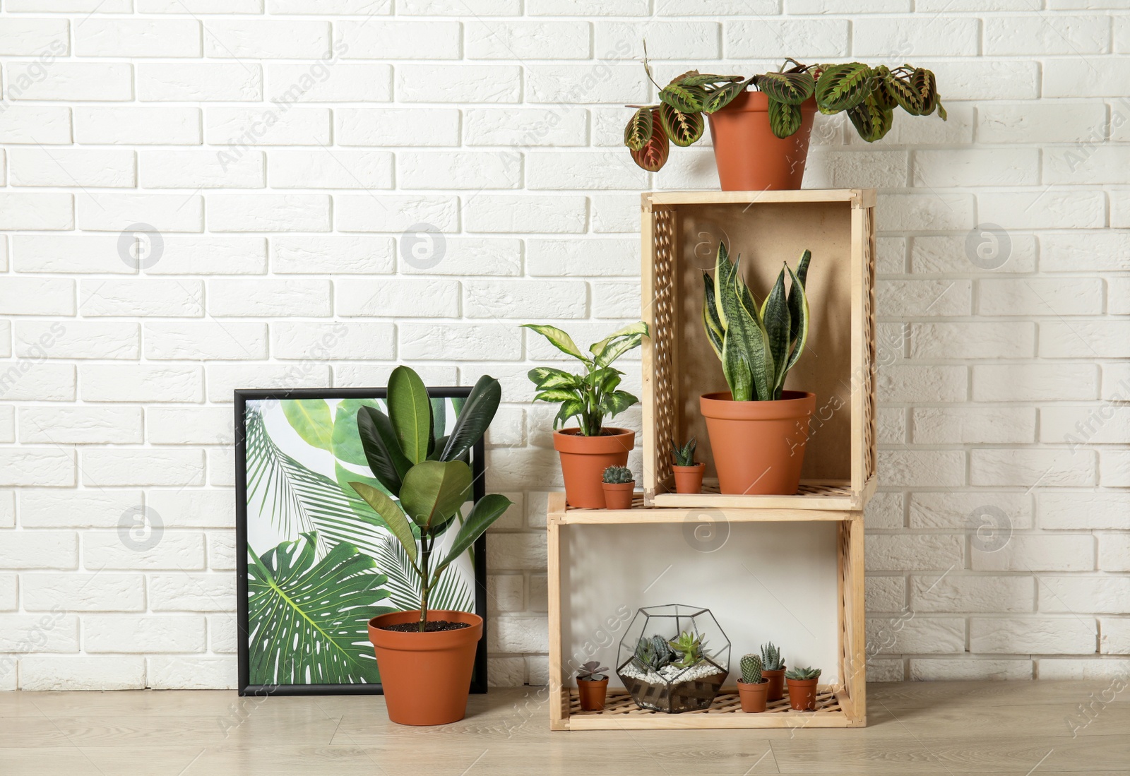 Photo of Potted home plants and wooden crates on floor indoors. Idea for interior decor
