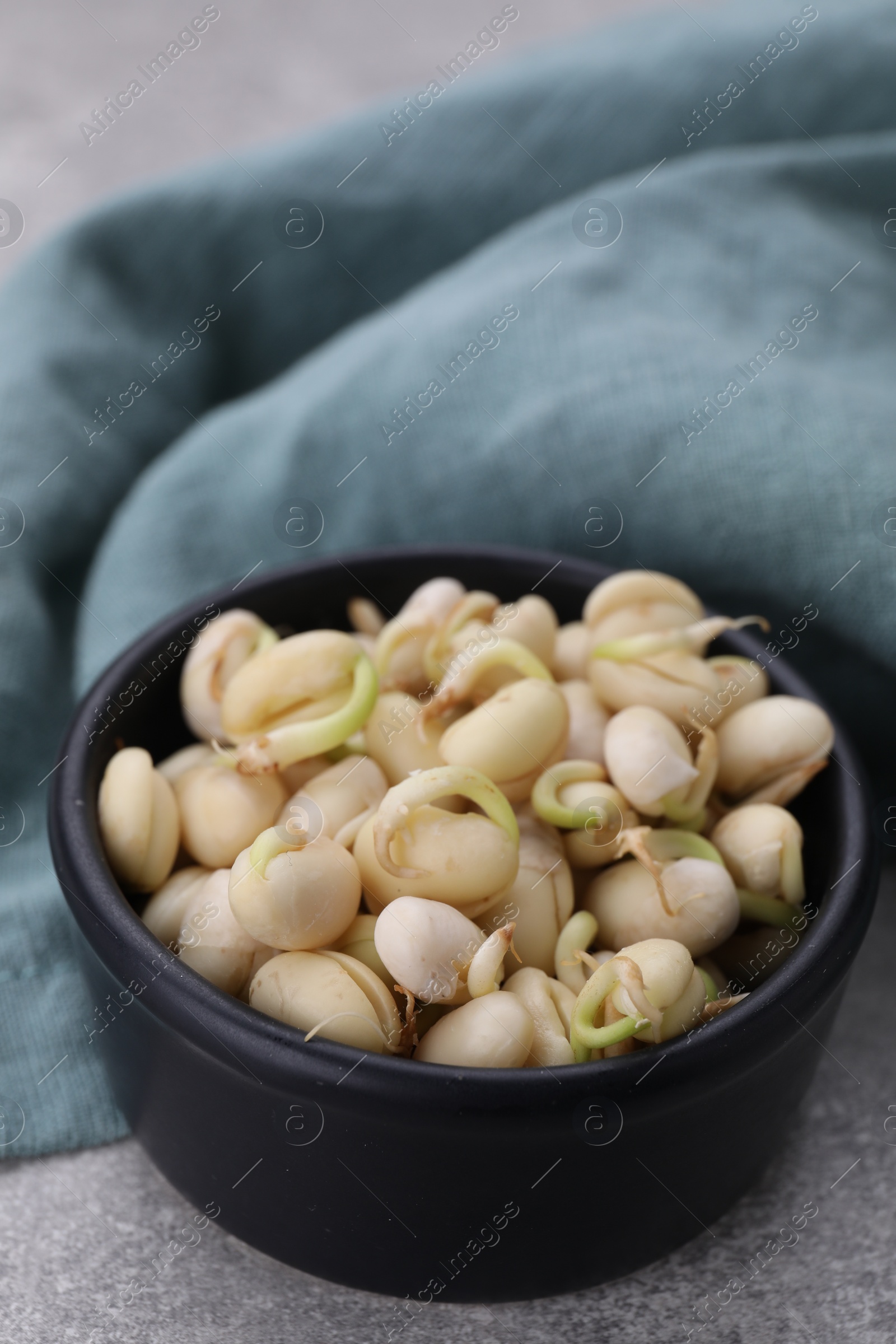 Photo of Sprouted kidney beans in bowl on light grey table, closeup