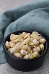 Sprouted kidney beans in bowl on light grey table, closeup