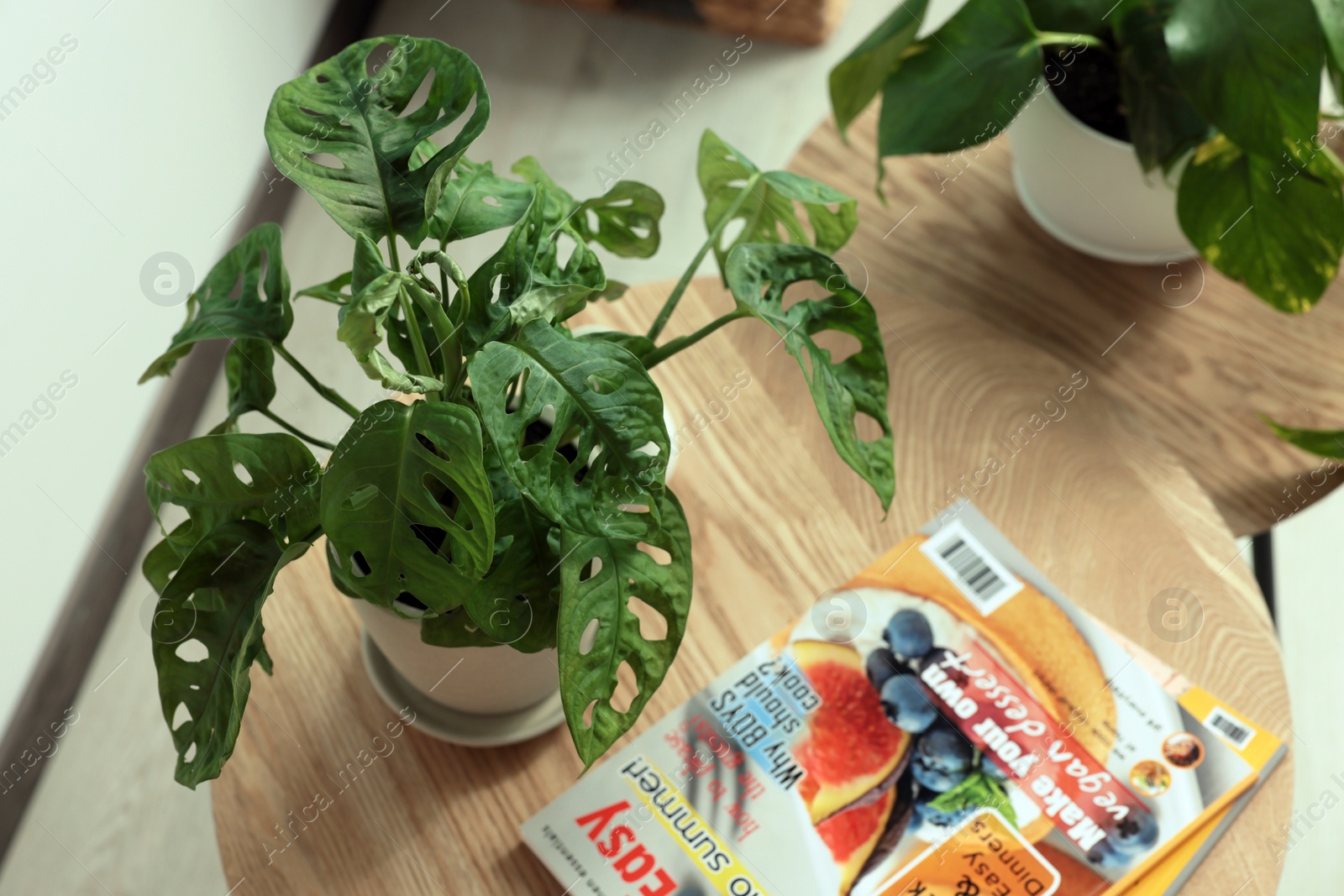 Photo of Beautiful house plants and magazines on wooden table indoors, above view. Home design idea