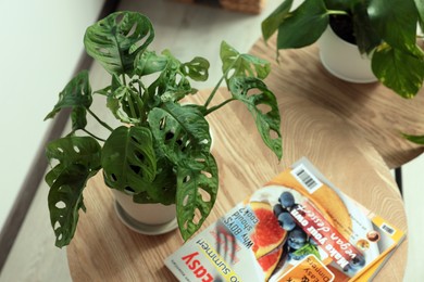 Photo of Beautiful house plants and magazines on wooden table indoors, above view. Home design idea