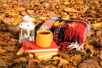 Plaid, cup of tea, lantern and books in park on sunny autumn day