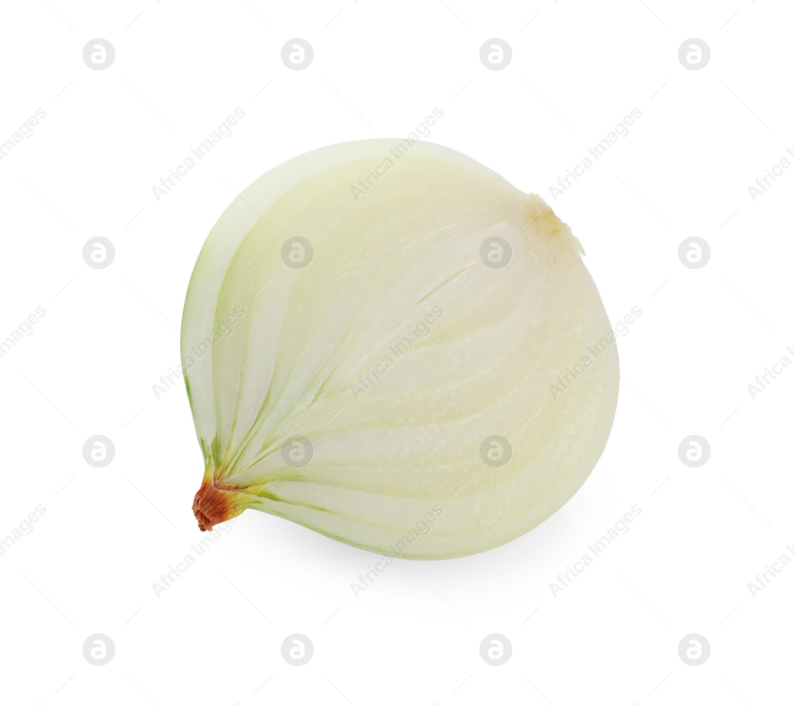 Photo of Half of fresh ripe onion isolated on white