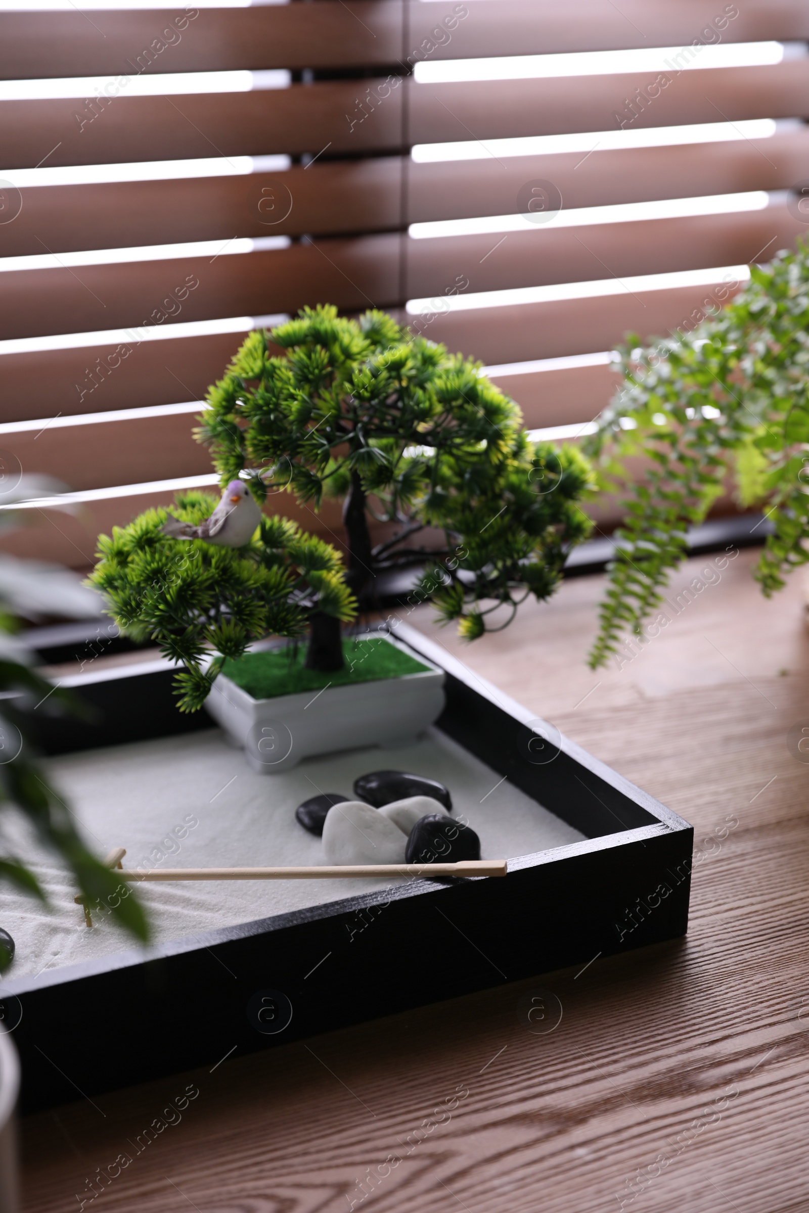 Photo of Beautiful miniature zen garden on wooden table