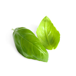 Photo of Fresh green basil leaves isolated on white