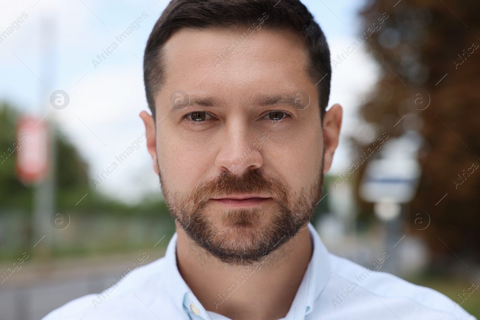 Photo of Portrait of handsome man looking at camera outdoors