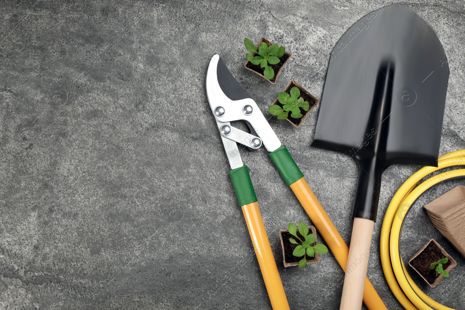 Photo of Gardening tools and plants on grey background, flat lay. Space for text