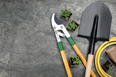 Gardening tools and plants on grey background, flat lay. Space for text