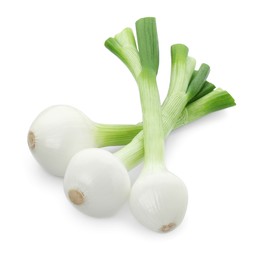 Whole green spring onions isolated on white