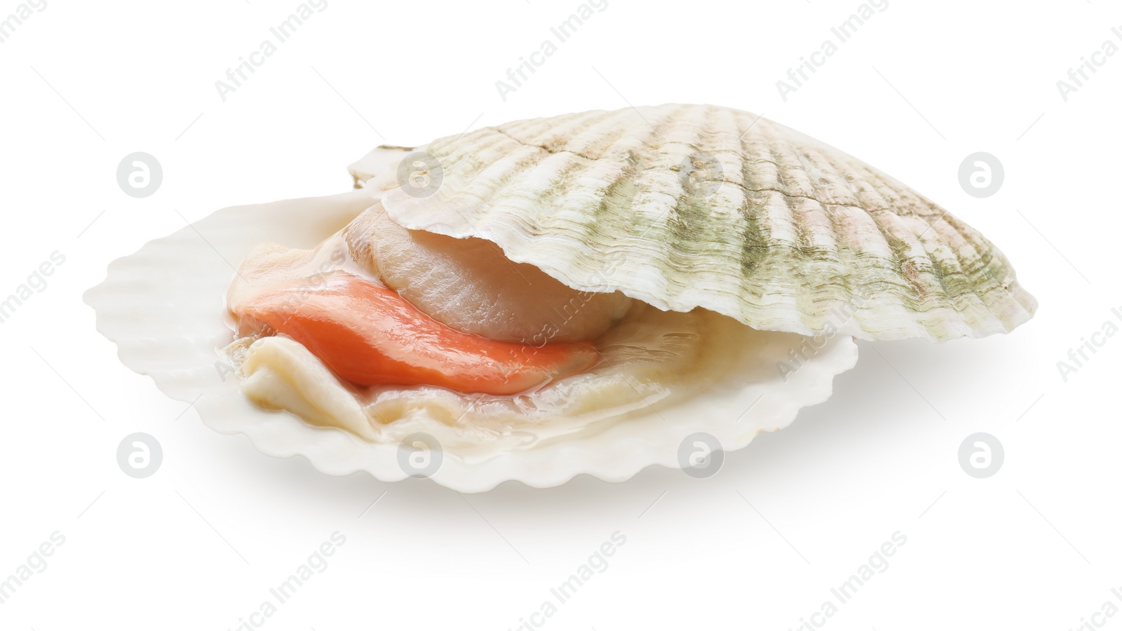 Photo of Fresh raw scallop with shell isolated on white