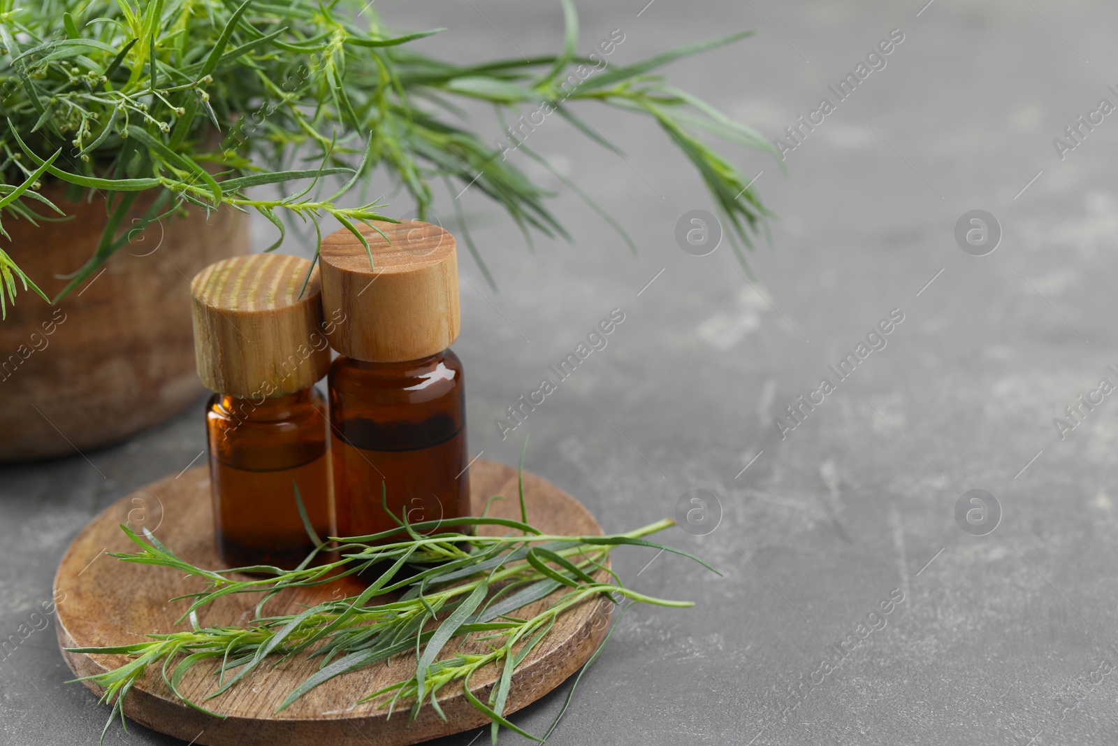 Photo of Bottles of essential oil and fresh tarragon leaves on grey table. Space for text