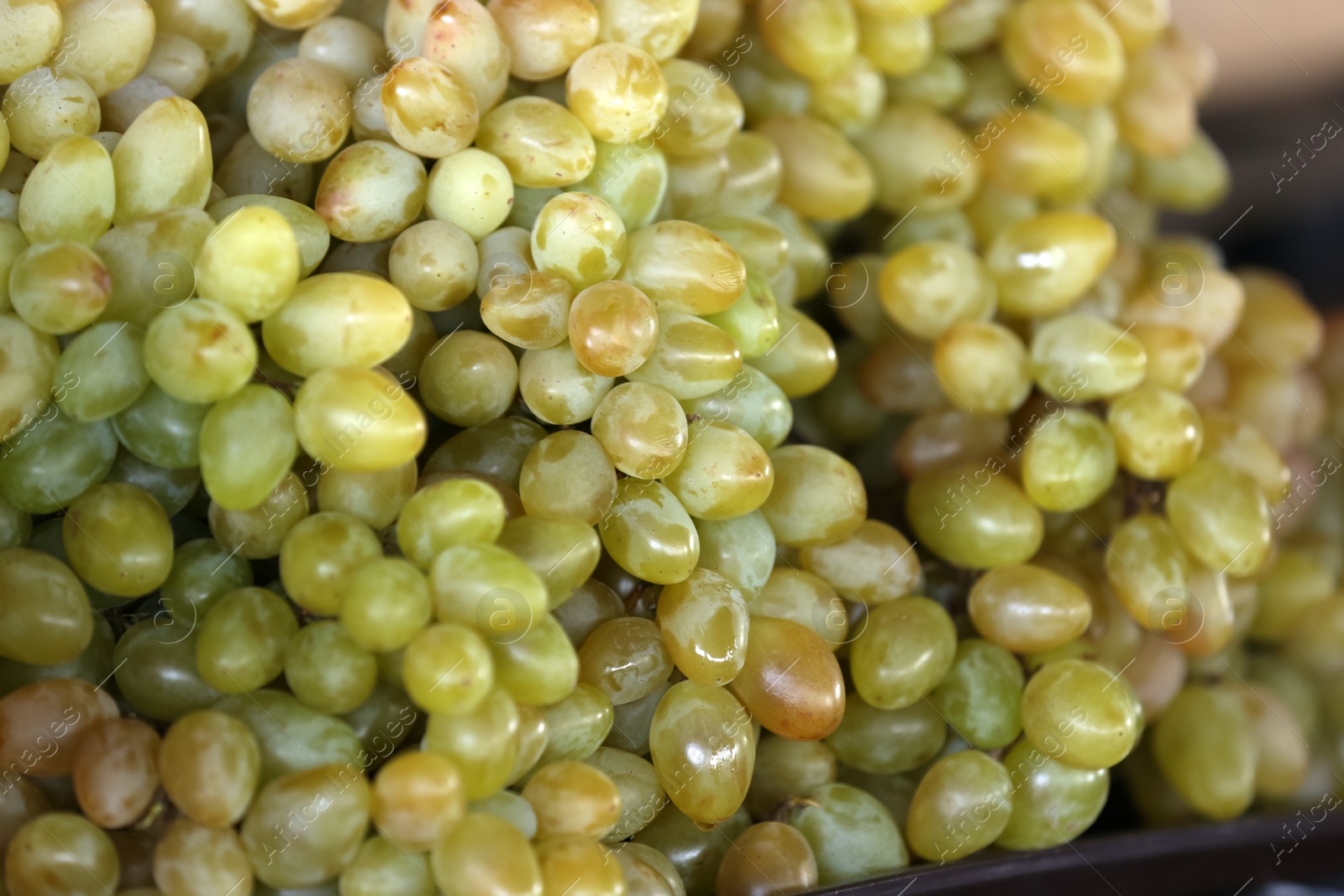 Photo of Fresh ripe juicy grapes on tray, closeup