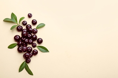 Fresh acai berries on beige background, flat lay. Space for text