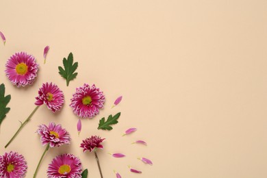 Photo of Beautiful chrysanthemums with leaves on beige background, flat lay. Space for text
