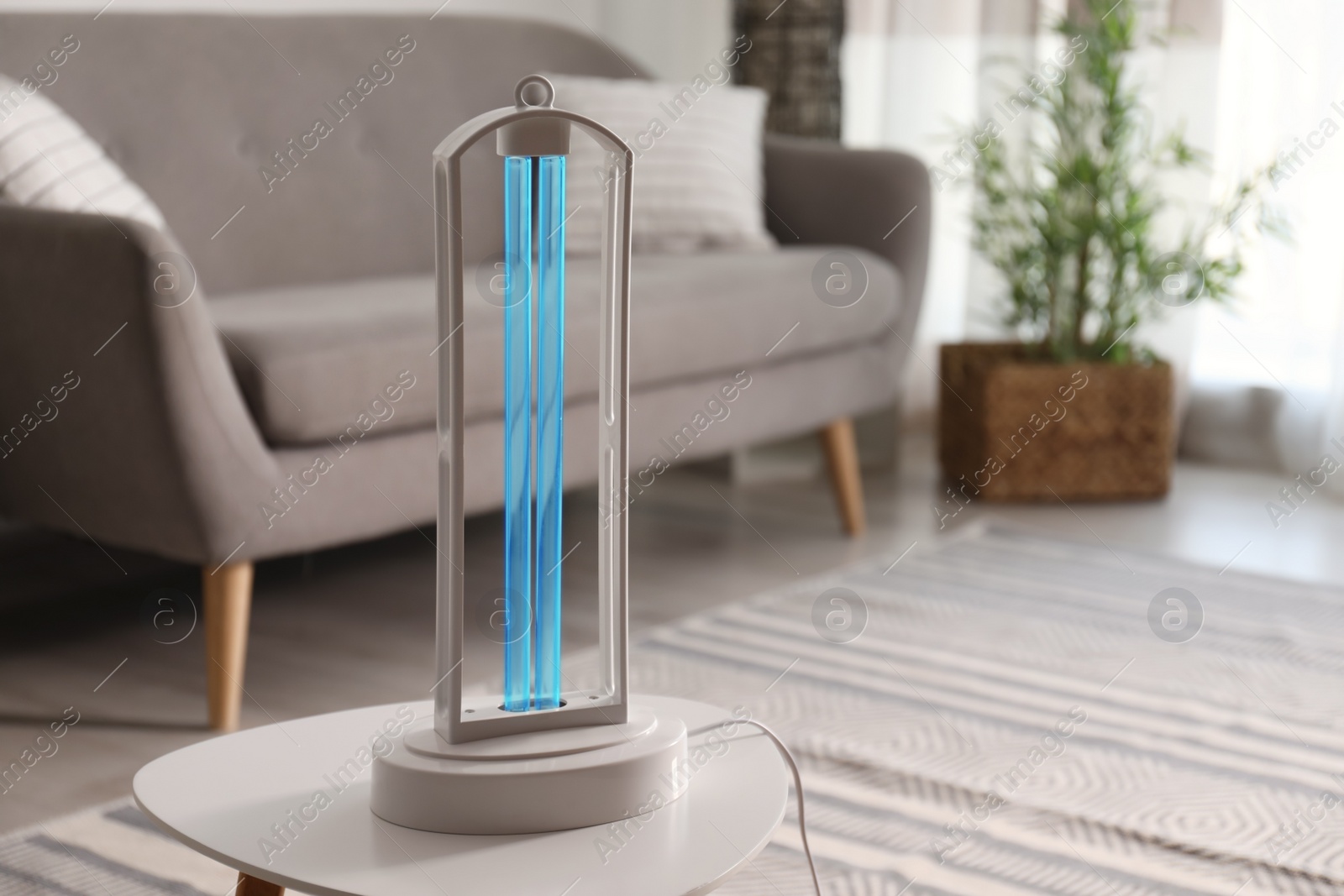 Photo of UV lamp for light sterilization on table in living room