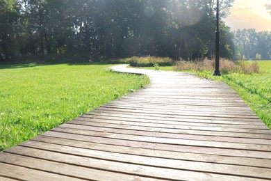 Photo of Pathway in beautiful public city park on sunny day